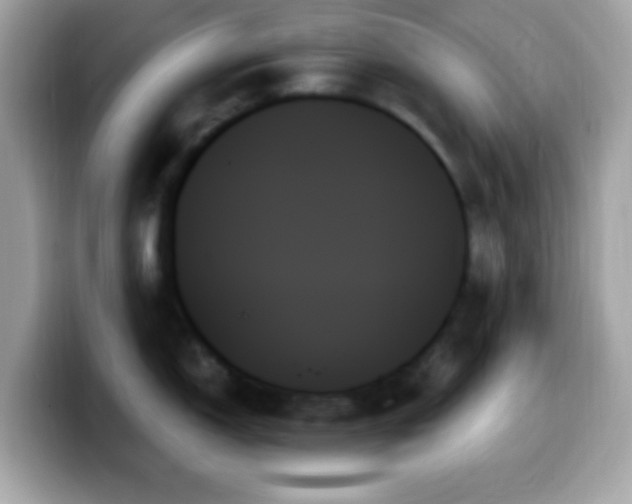 X0000099951150200805231316