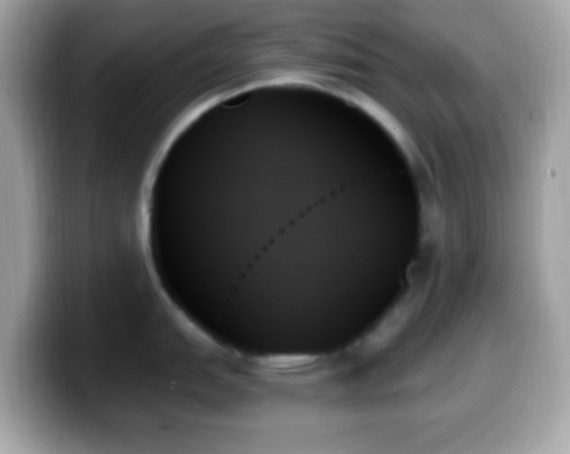 X0000099951151200805231316