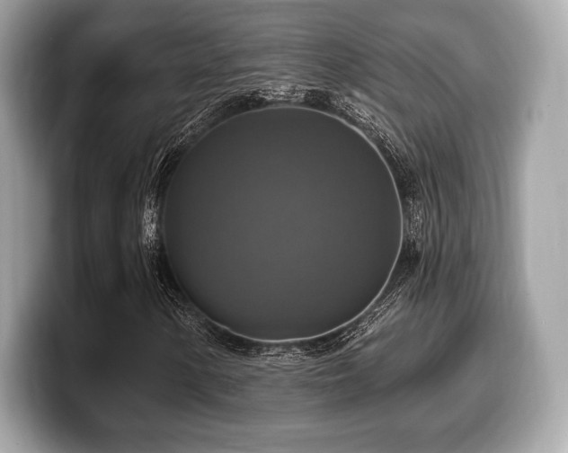 X0000099951154200805231316