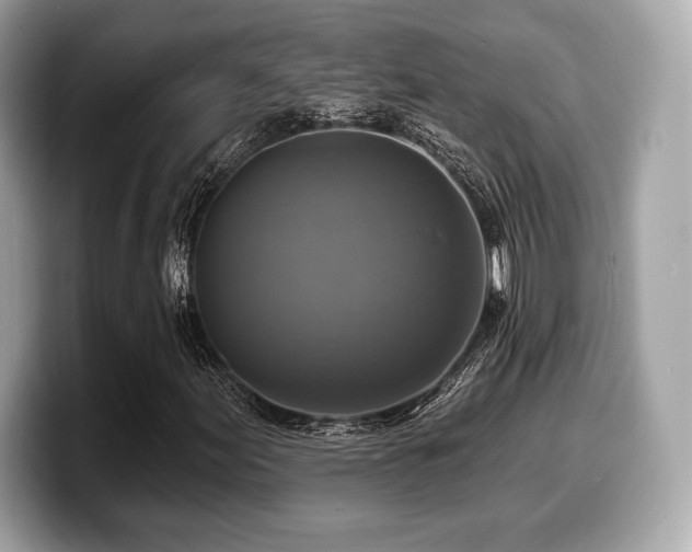 X0000099951155200805231316