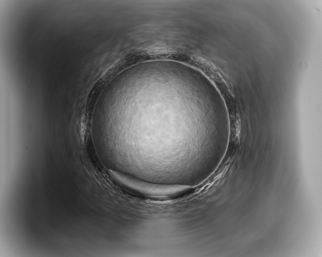 X0000099951157200805231316