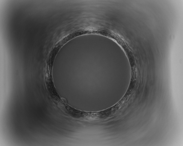 X0000099951158200805231316