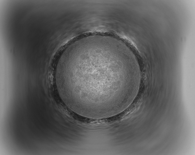 X0000099951159200805231316