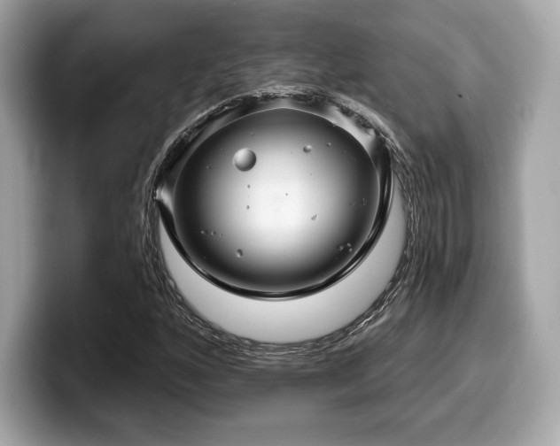 X0000099951160200805231316