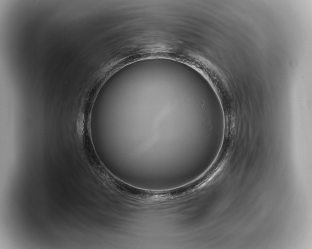 X0000099951161200805231316