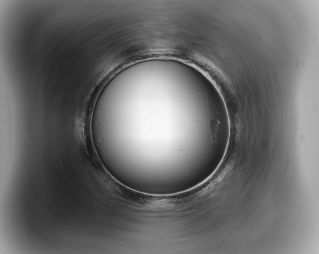 X0000099951162200805231316