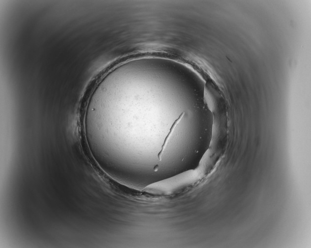 X0000099951164200805231315
