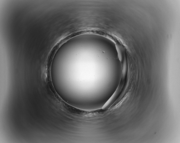 X0000099951165200805231315