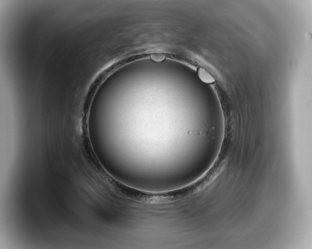 X0000099951166200805231315