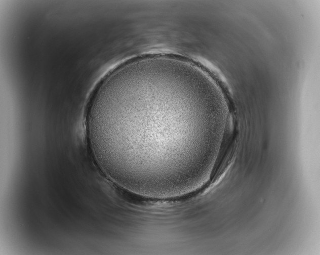 X0000099951167200805231315