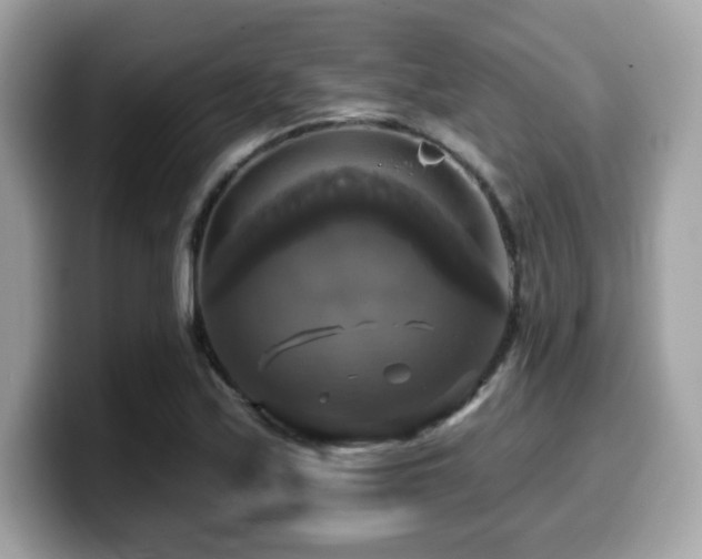 X0000099951171200805231315