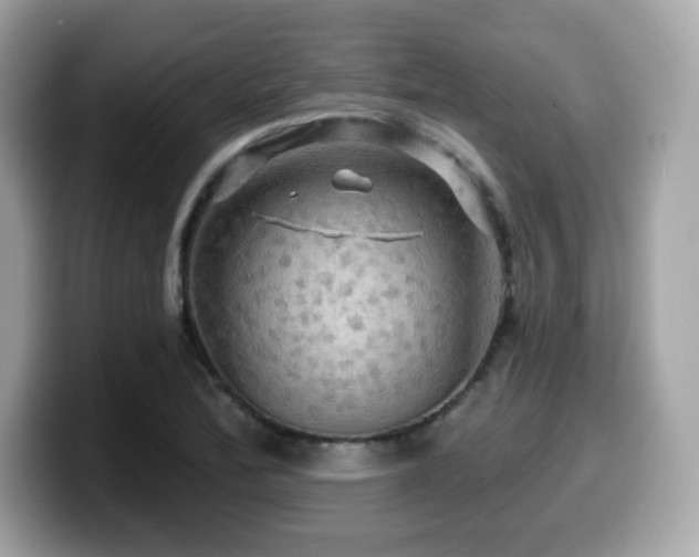 X0000099951172200805231315