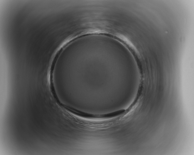 X0000099951173200805231315