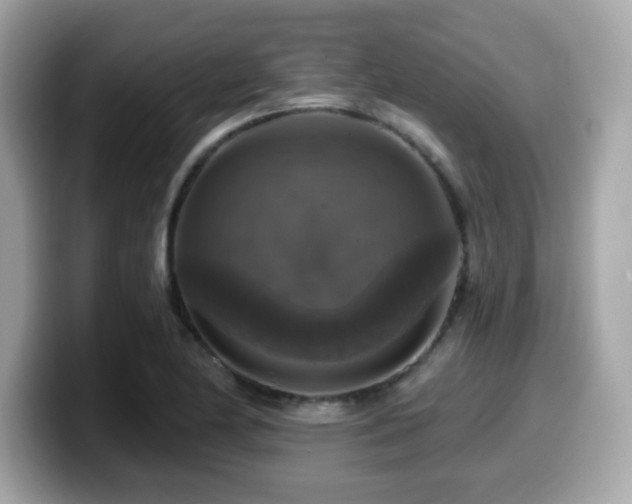 X0000099951174200805231315