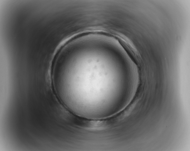X0000099951176200805231315