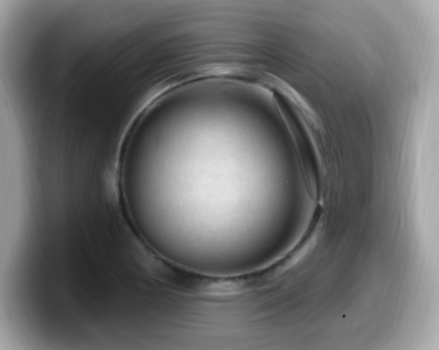 X0000099951178200805231315