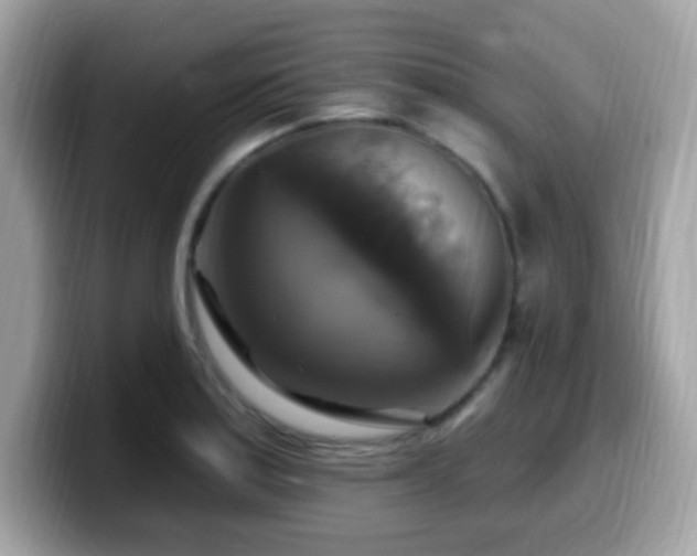 X0000099951179200805231315