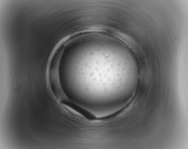 X0000099951180200805231315