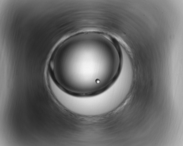 X0000099951181200805231315