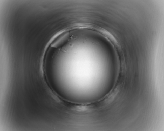 X0000099951182200805231315