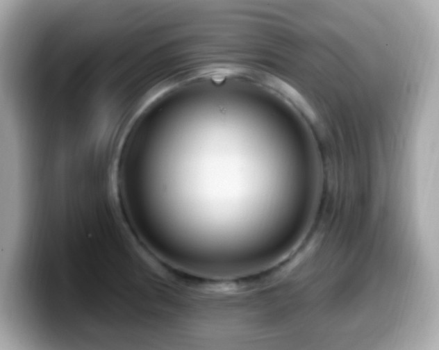 X0000099951186200805231315
