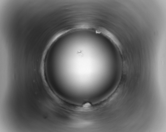 X0000099951187200805231315