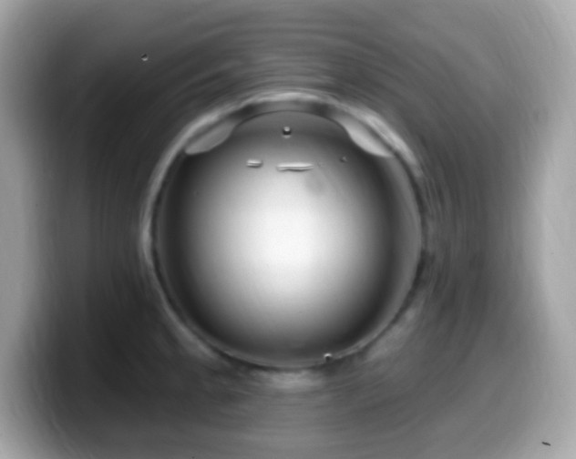 X0000099951189200805231315