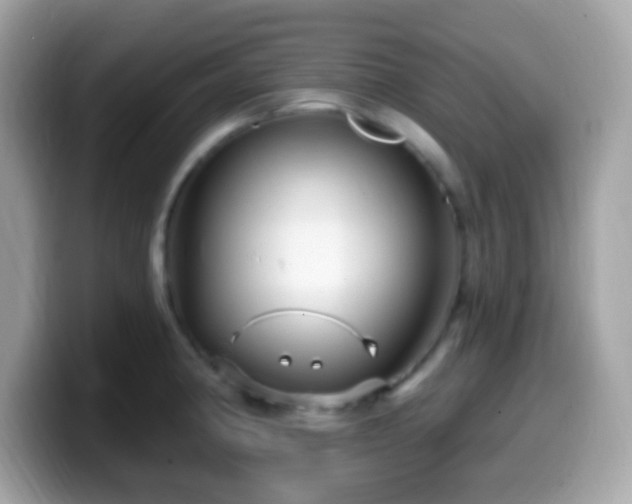 X0000099951190200805231315