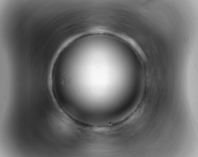 X0000099951191200805231315