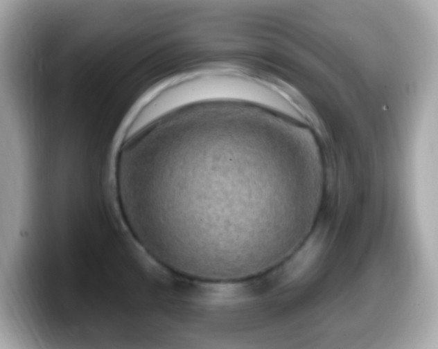 X0000099951192200805231315