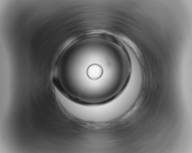 X0000099951193200805231315