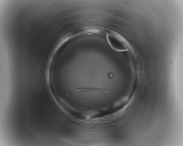 X0000099951194200805231315