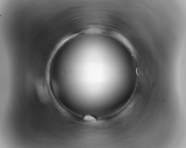 X0000099951195200805231315