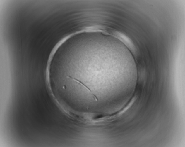 X0000099951196200805231315