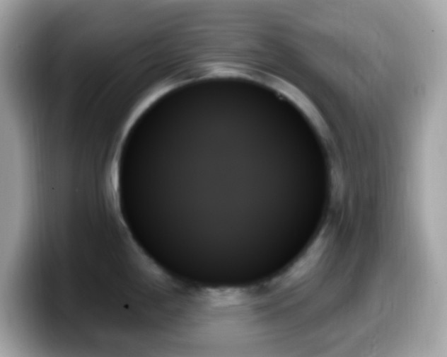 X0000099951198200805231315