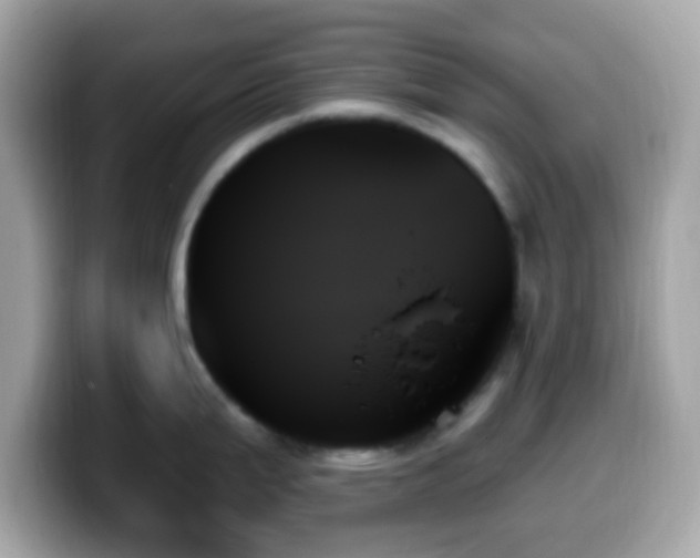 X0000099951199200805231315
