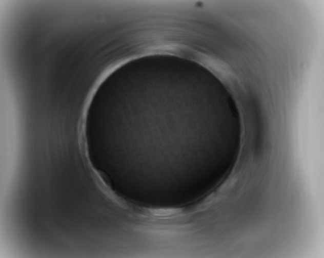 X0000099951200200805231315