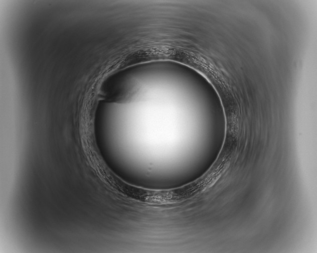 X0000099951201200805231314