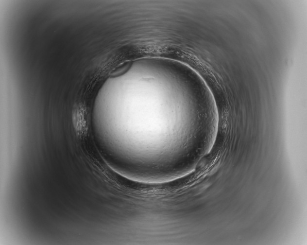 X0000099951202200805231314