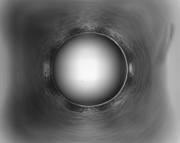 X0000099951203200805231314