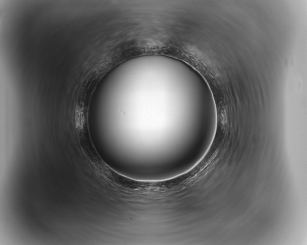 X0000099951204200805231314