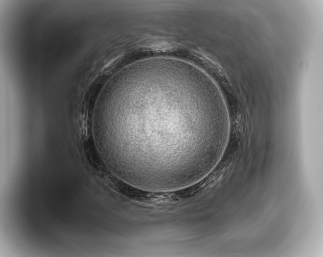 X0000099951205200805231315