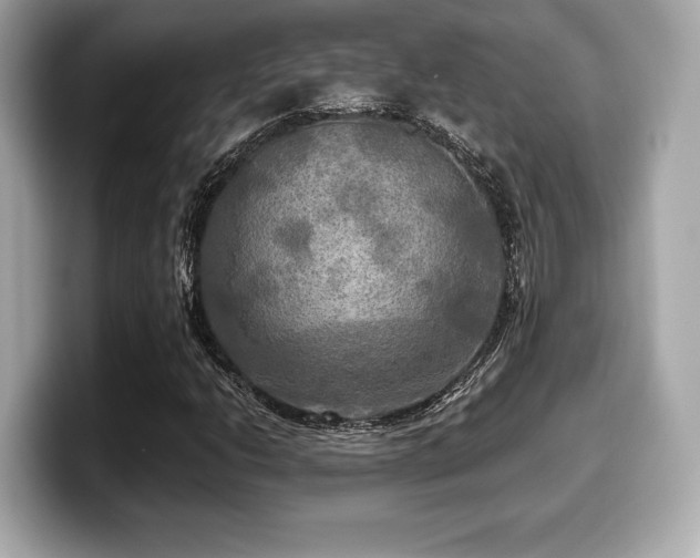 X0000099951206200805231315