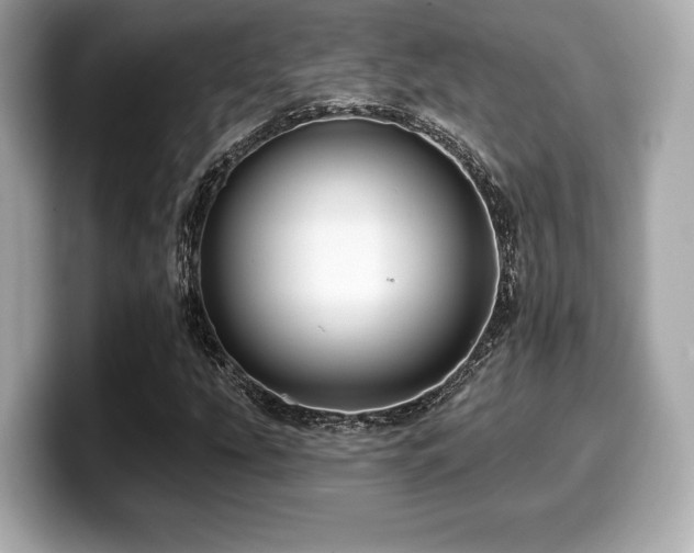 X0000099951207200805231315