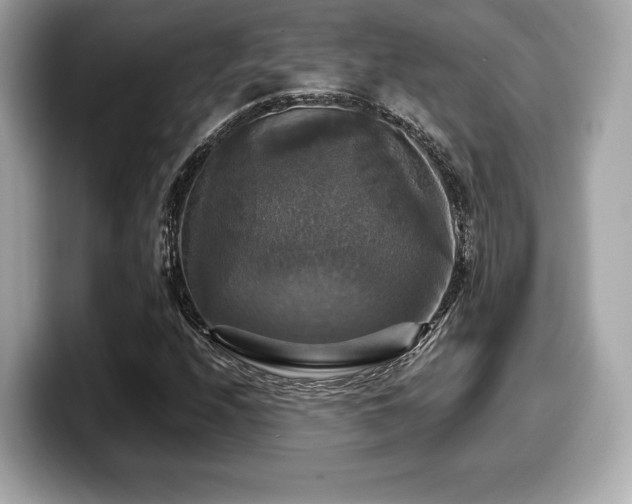 X0000099951208200805231315