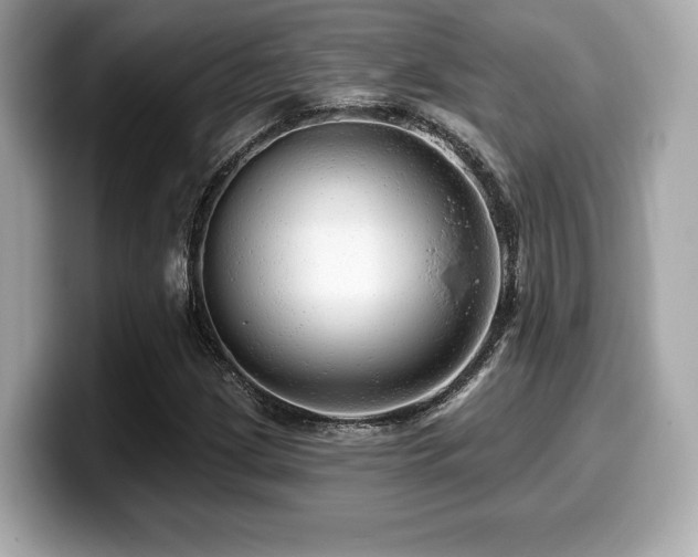 X0000099951209200805231315