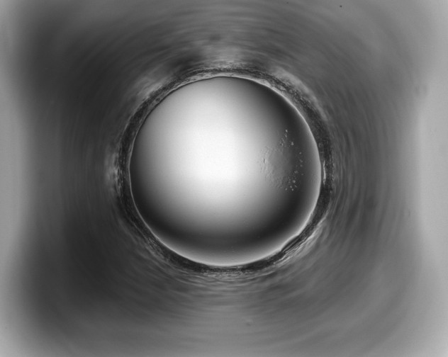 X0000099951210200805231315