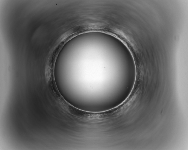 X0000099951211200805231315