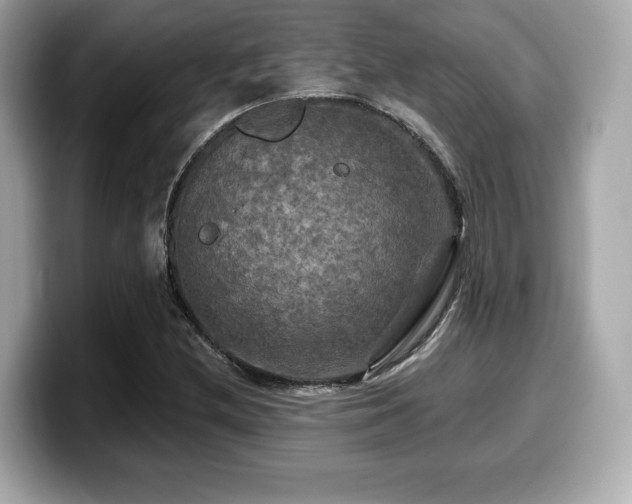 X0000099951212200805231315