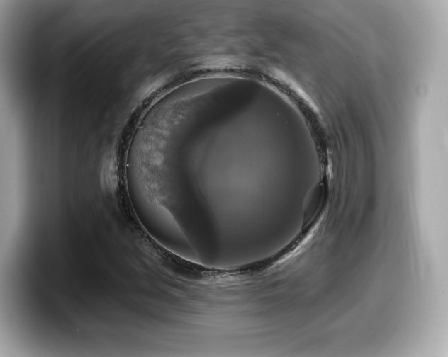 X0000099951213200805231315